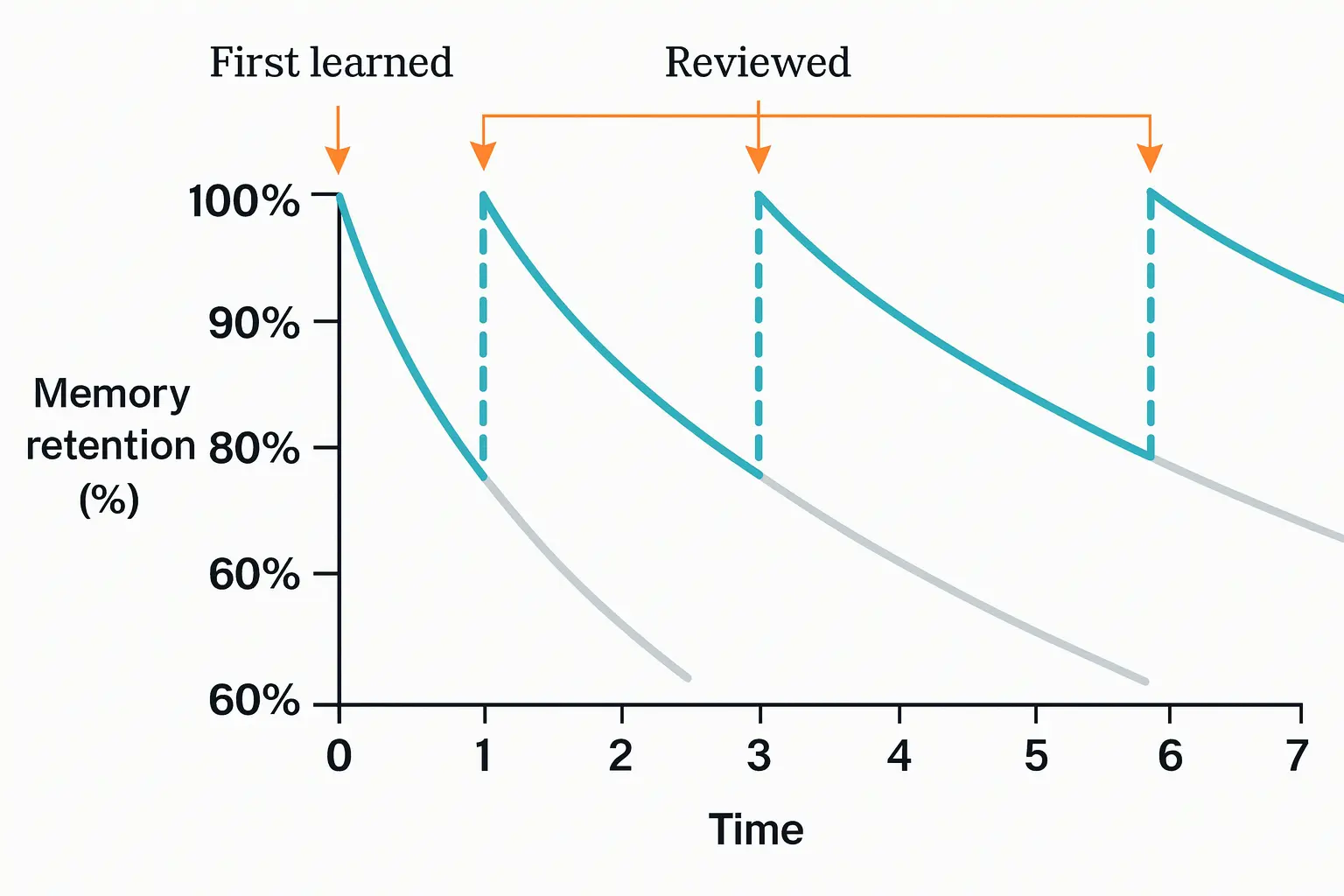 The Power of Repetition in Learning: How Memory Really Works